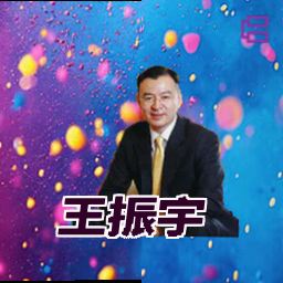 王振宇